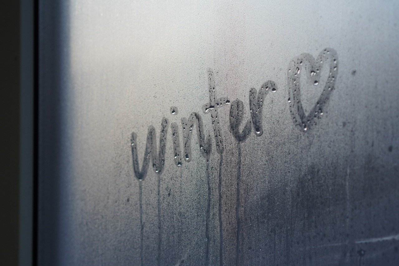 window 8194220 1280